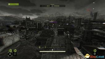 玩家爆料僵尸视频大全集,惊悚揭秘！僵尸视频大全集深度解析